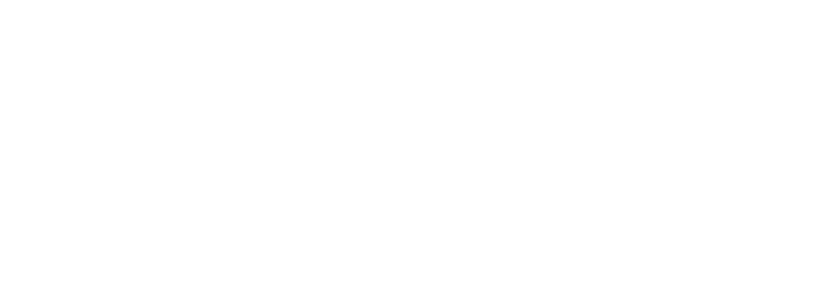 Vicerrectoría Académica · Dirección de Investigación Científica Humanística y Tecnológica